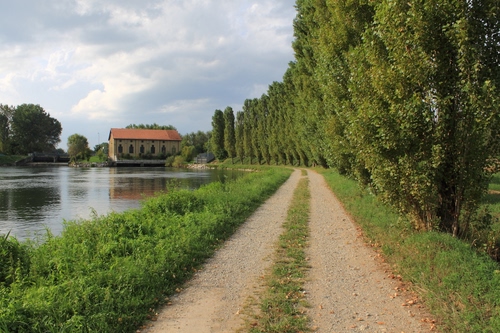 Immagine con alberi, strada, casa, fiume, acqua, erba, cielo, viale