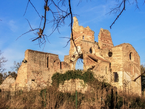 Immagine con rami, castello, cielo, ruderi, rudere, rovine, chiesa, abbandono, finestre, azzurro, piante
