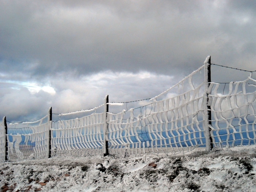 Immagine con nuvole, rete, neve, pali, cielo, inverno, recinzione, paletti, bianco