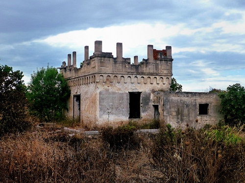 Immagine con rudere, alberi, cielo, finestre, sterpaglie, abbandono, porte, masseria, rovine