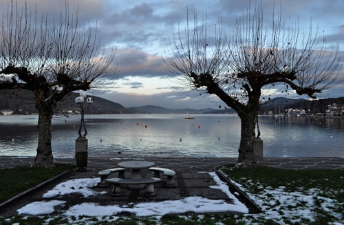 Immagine con alberi, lago, neve, inverno, panchine, acqua, tavolo, nuvole, lampioni, rami