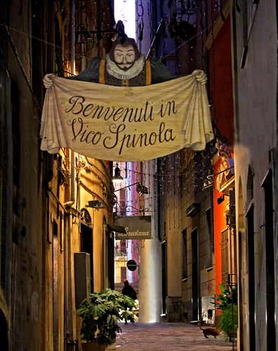 Immagine con vicolo, insegna, gatto, luci, piante, case, insegne, strada, striscione, benvenuti, pianta