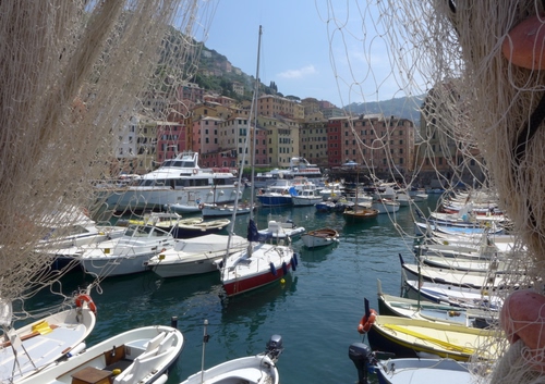 Immagine con barche, porto, mare, reti, rete, cielo, case, acqua, palazzi