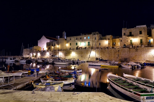 Immagine con barche, porto, mare, luci, notturno, case, notte