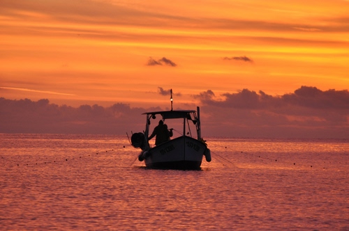 Immagine con mare, barca, tramonto, pescatore, arancione, cielo, acqua, reti, nuvole