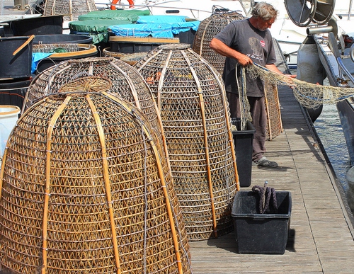 Immagine con pescatore, rete, reti, nasse, porto, uomo, pescare, mare, ceste