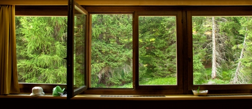 Immagine con verde, alberi, finestra, vetri, legno, finestre, tenda, vetro, aperta, cappello, anta, piante