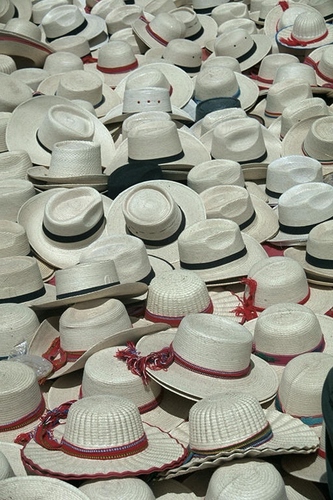 Immagine con cappelli, bianco, bianchi, rosso, nastri, paglia, tanti, panama, tese