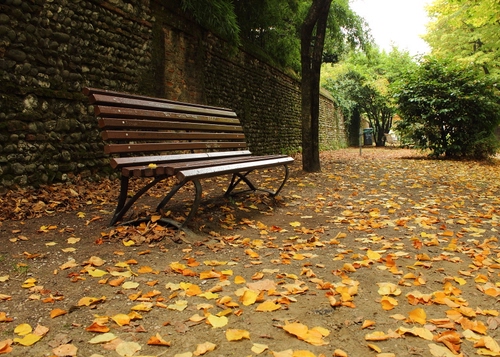 Immagine con autunno, panchina, foglie, alberi, muro, parco, verde, giallo