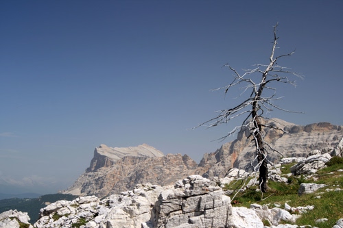Immagine con montagna, albero, rocce, erba, secco, verde, cielo, roccia, massi, rami