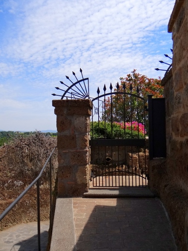 Immagine con cancello, fiori, cielo, nuvole, punte, ringhiera, frecce, colonna, lance, piante