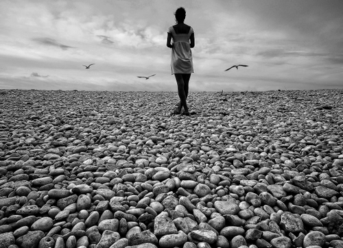 Immagine con sassi, donna, uccelli, orizzonte, gabbiani, pietre, nuvole, grigio, figura, gambe