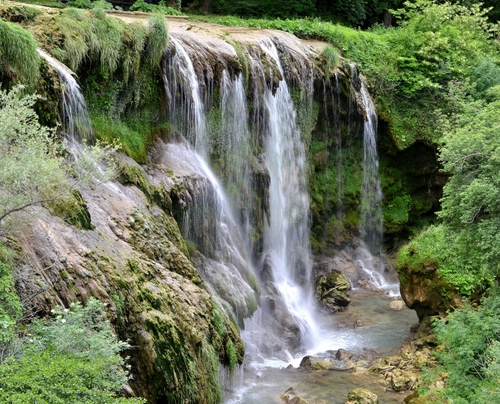 Immagine con acqua, cascata, verde, rocce, alberi, fiume, erba