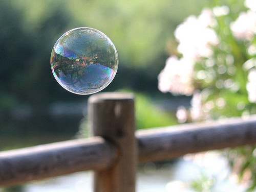 Immagine con staccionata, sfera, bolla, riflesso, legno, verde, sapone, fiori, sfocato, bianco, riflessi, palla, sfocatura