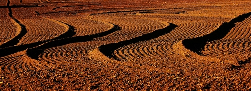 Immagine con curve, terra, marrone, solchi, linee, campo, terreno, onde, campagna, tracce, ocra, impronte