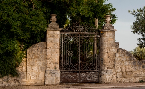 Immagine con cancello, muro, alberi, ferro, pilastri, vasi, pietre, ingresso, verde, cielo