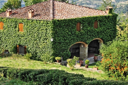 Immagine con casa, edera, verde, rampicante, tetto, archi, portico, campagna, giardino