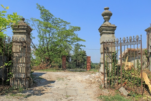 Immagine con cancello, alberi, colonne, ferro, pilastri, aperto, verde, strada, rudere, cancelli, cielo, due, piante