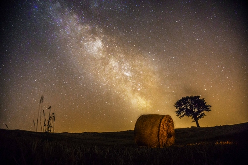 Immagine con stelle, albero, cielo, campo, notturno, notte, fieno, covone, balla