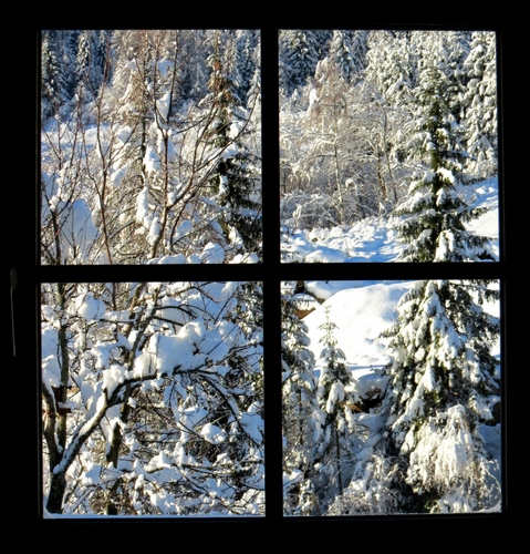 Immagine con neve, alberi, finestra, bianco, inverno, croce, abeti