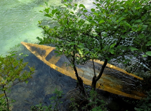 Immagine con barca, acqua, verde, alberi, trasparenza, foglie, giallo, lago, albero, affondata