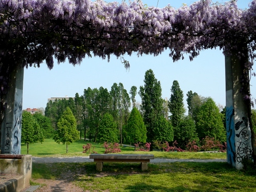 Immagine con panchina, alberi, glicine, verde, giardino, fiori