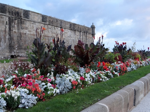 Immagine con fiori, aiuola, mura, cielo, piante, erba, castello, prato, verde, aiuole, giardino, muro
