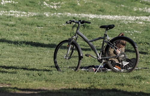 Immagine con bicicletta, prato, ruote, leggere, donna, erba, manubrio, libro, verde, cavalletto, sellino, campo, lettura, bici, ragazza, sella