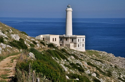 Immagine con mare, faro, bianco, rocce, azzurro, finestre, strada, erba, verde, piante