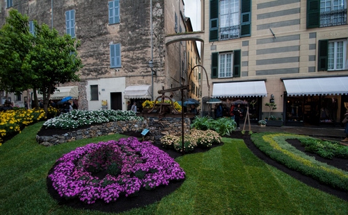 Immagine con fiori, finestre, alberi, verde, aiuole, prato, negozi, arco, giardino, tende, aiuola, erba, viola, tendoni, palazzi, case