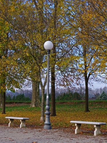 Immagine con alberi, foglie, lampione, panchine, parco, autunno, due, giallo, rami, verde, sfera