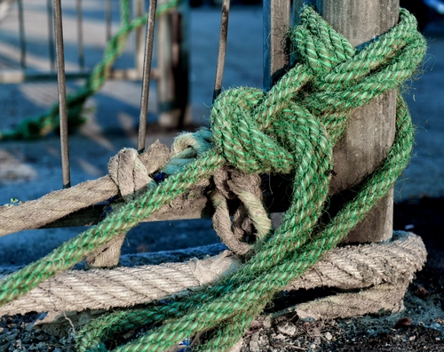 Immagine con verde, palo, corde, nodi, legno, corda, mare, pali, funi, fune