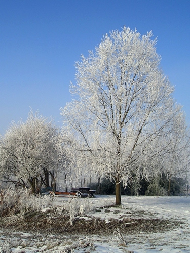 Immagine con neve, inverno, alberi, bianco, cielo, rami, albero, brina, panchina, gelo