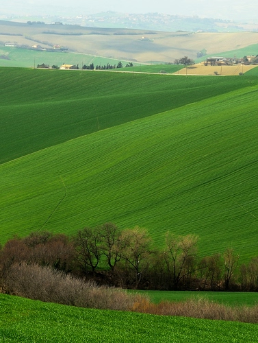 Immagine con verde, alberi, colline, erba, campi, campagna, prato, paesaggio, prati, panorama