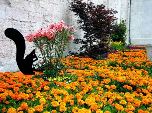 Immagine con fiori, aiuola, scoiattolo, giallo, piante, arancione, gialli, rosa, oleandro