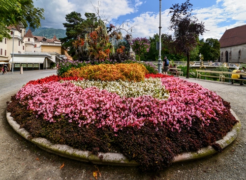 Immagine con aiuola, fiori, alberi, panchine, rosa, piazza, nuvole, multicolore