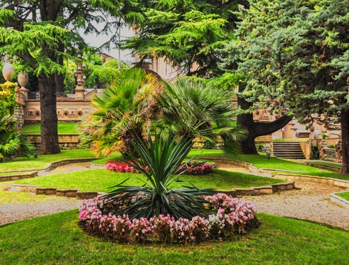 Immagine con fiori, alberi, giardino, aiuole, piante, prato, aiuola, erba, verde