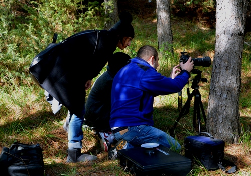 Immagine con fotografi, alberi, blu, fotografo, tre, tronchi, cavalletto, borse, fotografare, tronco, albero