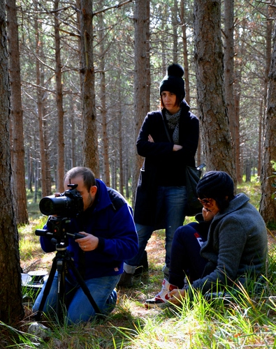 Immagine con fotografo, bosco, tre, alberi, erba, cavalletto, fotografia, fotografi, assistenti