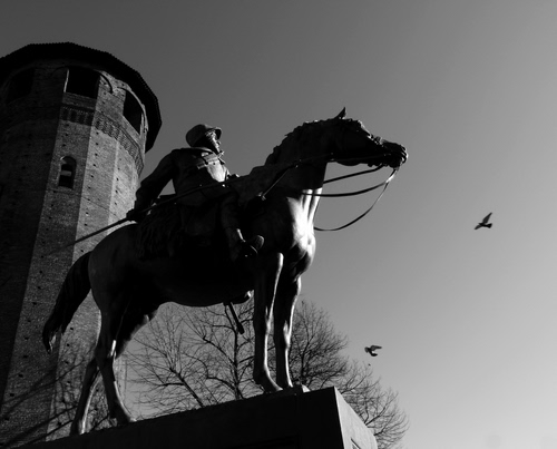 Immagine con cavallo, bianconero, torre, statua, monumento, equestre, uccelli, alberi
