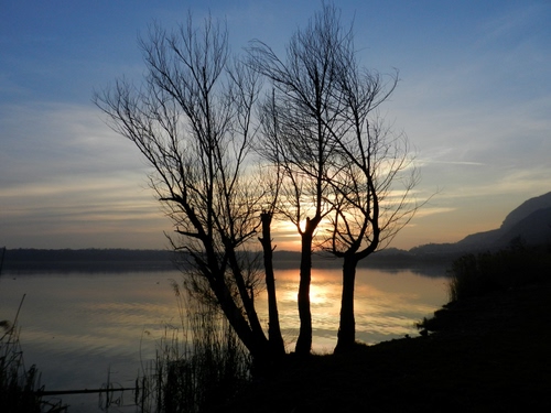 Immagine con alberi, acqua, controluce, cielo, lago, tramonto, sole, nuvole, rami, riflessi, silhouette, nero, azzurro, riflesso, spogli, mare, paesaggio
