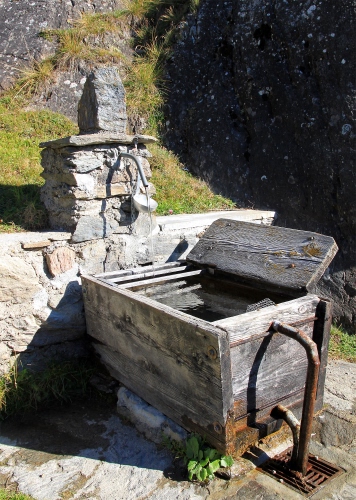 Immagine con lavatoio, acqua, fontana, legno, vasca, rubinetto, erba, zampillo