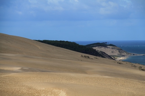 Immagine con mare, sabbia, dune, cielo, paesaggio, spiaggia, deserto, costa, alberi