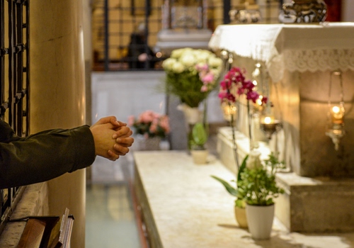 Immagine con mani, altare, fiori, devozione, vasi, preghiera, braccia, piante