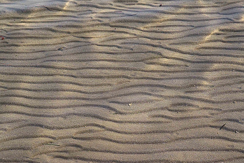 Immagine con sabbia, mare, spiaggia, onde, linee, curve, dune, astratto, righe
