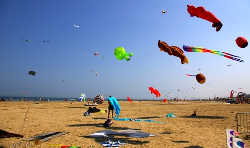 Immagine con spiaggia, aquiloni, mare, sabbia, cielo, colori, verde, vento