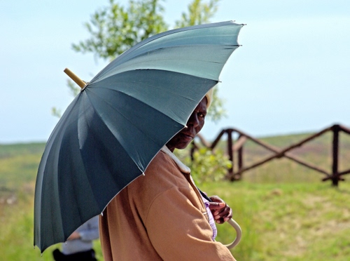 Immagine con ombrello, staccionata, donna, erba, verde, albero, cielo, mano, sguardo, giacca, persona, steccato, legno, manico, ritratto, rosa