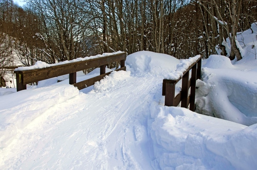 Immagine con neve, alberi, inverno, ponte, bianco, legno, ponticello
