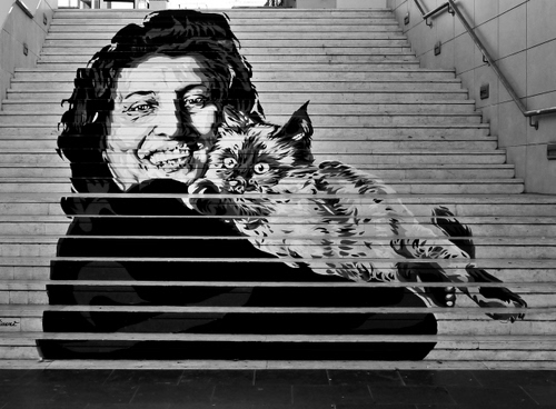 Immagine con gatto, scalinata, sorriso, attrice, scala, corrimano, murales, nero, gradini, scalini, magnani, bianconero, donna, scale, anna, occhi, murale, grigio, dipinto, capelli, orecchie