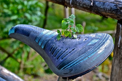 Immagine con pianta, verde, bicicletta, sella, sellino, foglie, sfocato